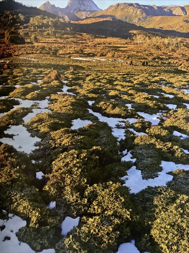 Australian Geographic High Country Tuckerbox Gold Mines Magazine Jul Aug 2022 - Picture 10 of 10