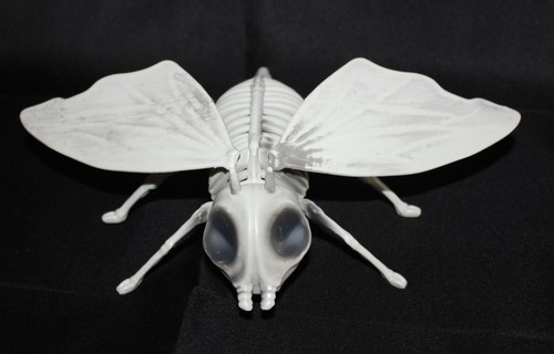 Skeleton Graveyard Halloween Animals, Scary, Sturdy reuse, Owl, Rat, Dragon, Bat - Picture 34 of 52