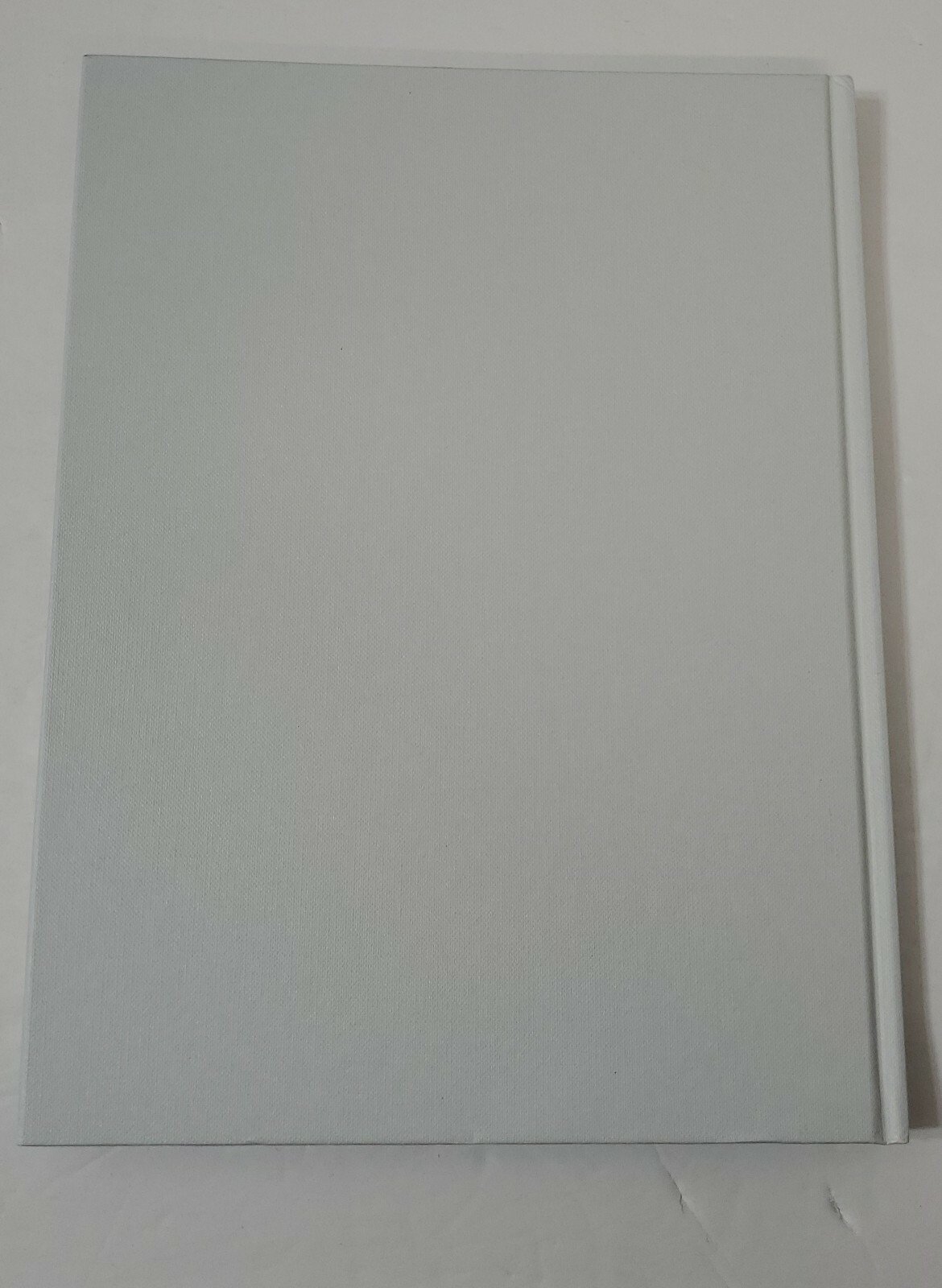 Bild 12 von 12