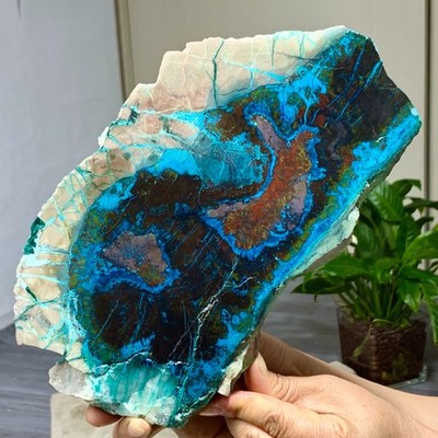 3.21LB Natural Needle shaped feather Malachite Red Cuprite piece mineral sample