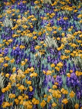 HTF OOP Meadowlands by Moda Fields Purple Yellow Wildflowers Quilt Fabric 3 yrd