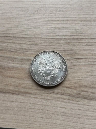 2003 1 oz Silver Coin .999 Fine Liberty Walking One Dollar - Exact Coin