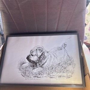 Norfolk Terrier Pen And Ink By Martha Van Loan On Board