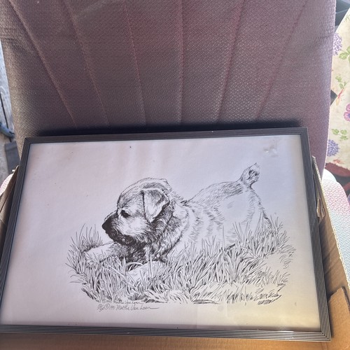 Norfolk Terrier Pen And Ink  By Martha Van Loan On Board