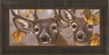 UP CLOSE AND CURIOUS by Jerry Gadamus FRAMED WALL ART PICTURE Deer Buck Doe S/N