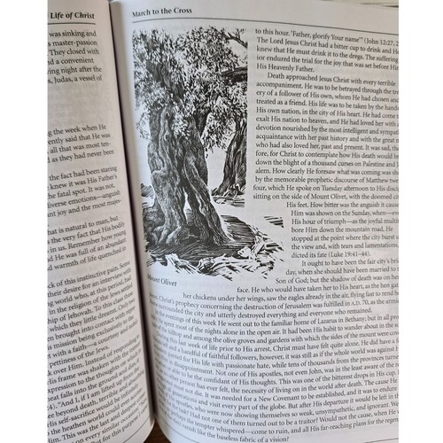 The Life of Christ Michael McHugh Christian LIberty Press Text + Answer Key B1 - Imagen 5 de 12