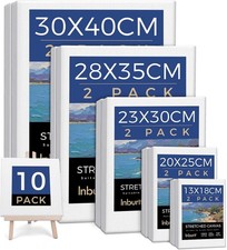 Canvas for Painting, 10 Pack Multi Sizes Canvas, Art Canvases for Painting