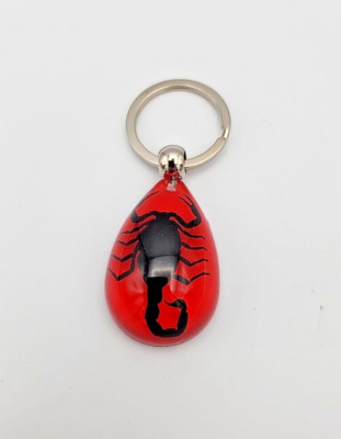 SCORPION Real Keychain Ring Genuine INSECT Bug Red Key Chain Keyring Lucite