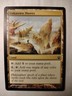 Unknown Shores (229/249) – Theros – MTG Magic the Gathering