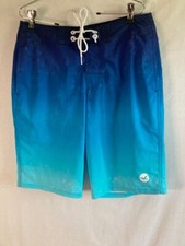 Hollister Mens Swim Trunks Board Shorts Size 30 Blue Stretch Mesh Lining EUC