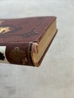 Foto 16 di 16