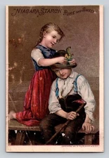 Niagara Starch Pure Sweet  P756