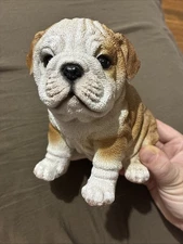 Cute English Bulldog Puppy Statue Adorable Wrinkles Fawn + White Sculpture Decor