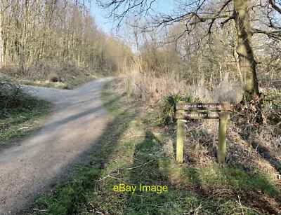Foto 6x4 Am Naturschutzgebiet Wilmslow Lindow Moos: nicht weit entfernt, am Li c2022