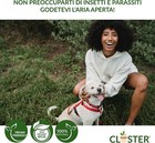 Foto 6 di 6