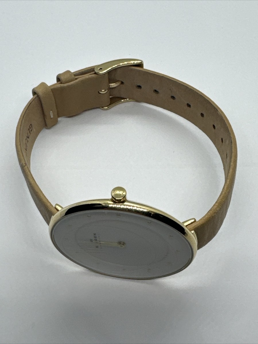 SKW2138⭐️新品未使用⭐️SKAGEN ブラウンレザー レディース RIIS 三針 ミディアムブラウン レザーウォッチ SKW6883 - Skagen