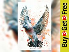 Dynamische Taube Aquarell