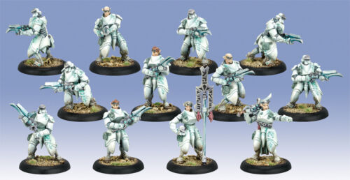 Warmachine PIP35068 Scyrah Dawnguard Invictors Unit Retribution Elf Infantry NIB - Picture 3 of 4