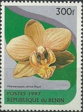 REPUBLIC OF BENIN -1997- Orchid - Phalaenopsis Christi floyd - MNH Stamp - #977