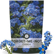 Chinese Forget Me Not Seeds - 18,000 for Planting - 2026 Season - 4 Ounces 117.60 per gallon