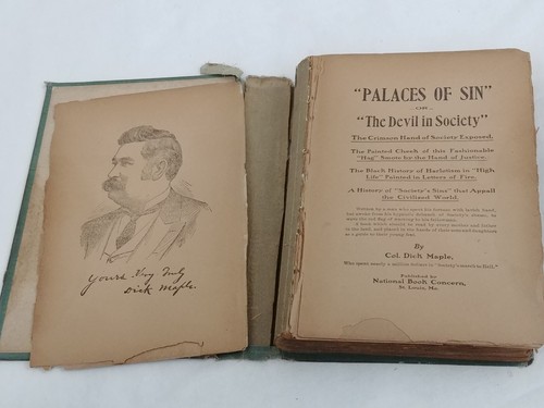 1902 Palaces of Sin or the Devil in Society Col Dick Maple Antique Vices Warning - Picture 7 of 22