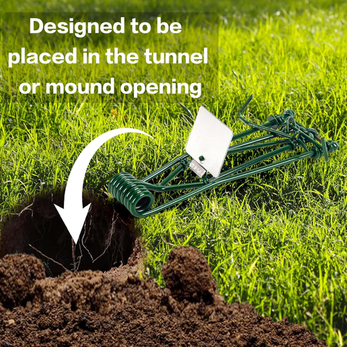 10 Pack Gopher Traps - Reusable Metal Gopher Trap, Easy Set Weather Proof Mole V - Picture 2 of 12