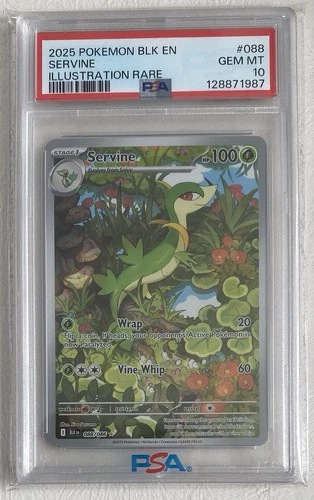 Pokemon Black Bolt Servine #88 Illustration Rare [PSA 10]