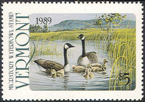 VT4 Vermont State Duck Stamp MNH - Afbeelding 1 van 1
