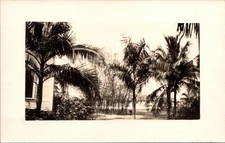 Fort Myers FL Hotel Royal Palm Bamboo Garden 1914 RPPC Real Photo
