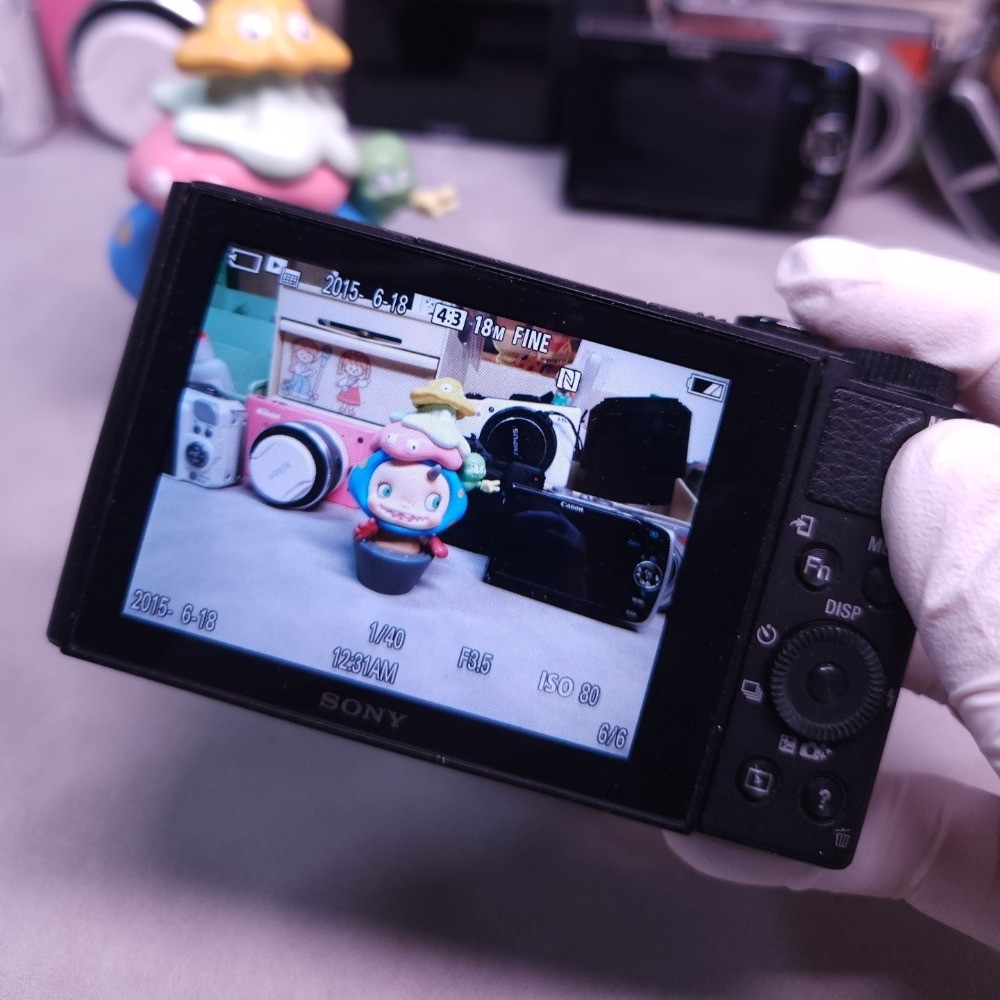 Sony Cyber-Shot DSC-WX500 Digital Camera 18.2MP 30× Optical Zoom