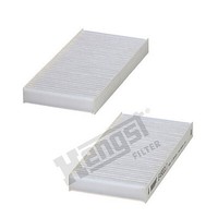 Hengst Filter E4900LI-2 Filter, Innenluft FüR Dodge, Jeep