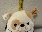 Original Squishmallows 8" Brock The Vampire Bulldog Plush Halloween Squad Used — photo 2