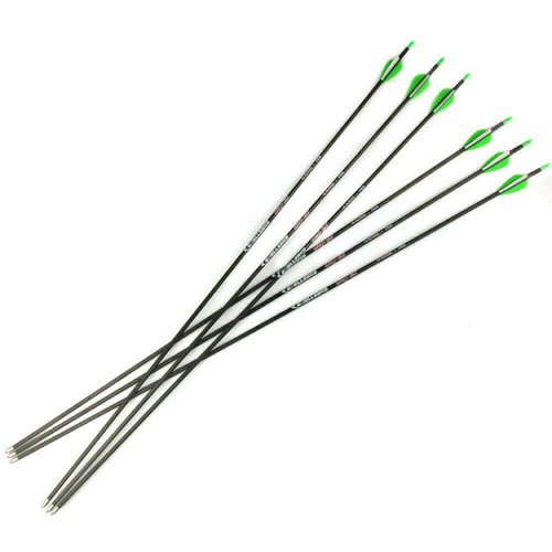30" Pure Carbon Pfeile Wirbelsäule 700 OD 5,6mm Bogenschießen Kunststoff Flügel Jagd Training - Bild 7 von 12