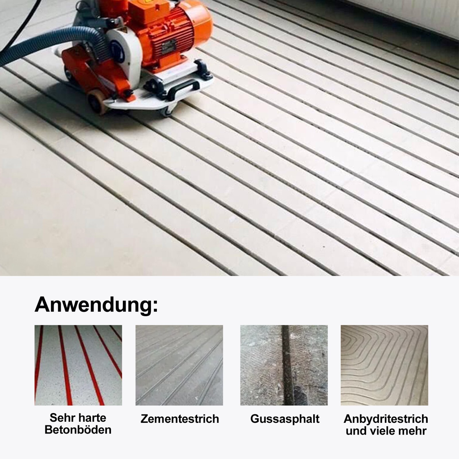 Bild 6 von 8