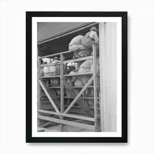 Untitled Photo, Possibly Related To Framed Wall Art Poster Canvas Print Picture