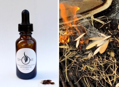 Fynbos Seed Smoke Primer Concentrated Liquid Seed Germination Aid - 30ml