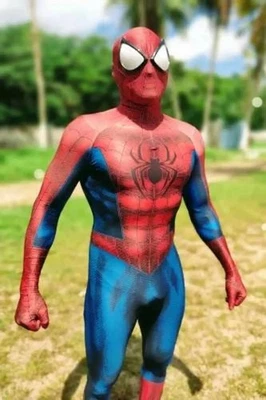 Spider Man Cosplay Costume Adult Men's Peter Spider Suit Halloween - Image 1 of 4