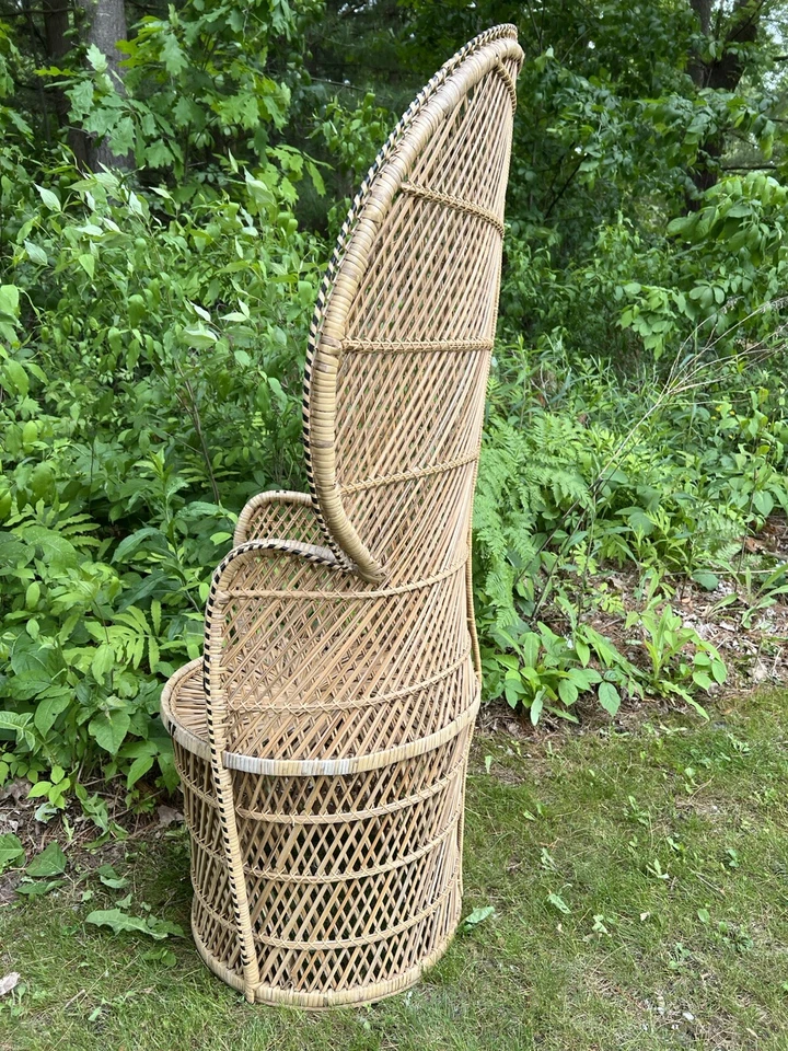 Silla de mimbre "Emmanuelle" pavo real años 60-70 vintage Foto 4 de 4