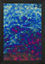 Quadro stampa su tela poster arte da parete con cornice granchio