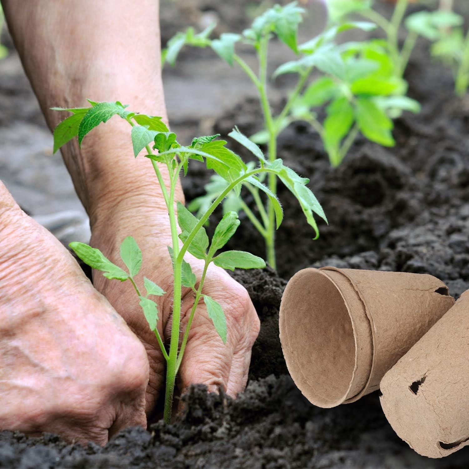 homenote Peat Pots, 60 Pcs 3.15 Inch Seed Starting Pots with Drainage Holes Roun