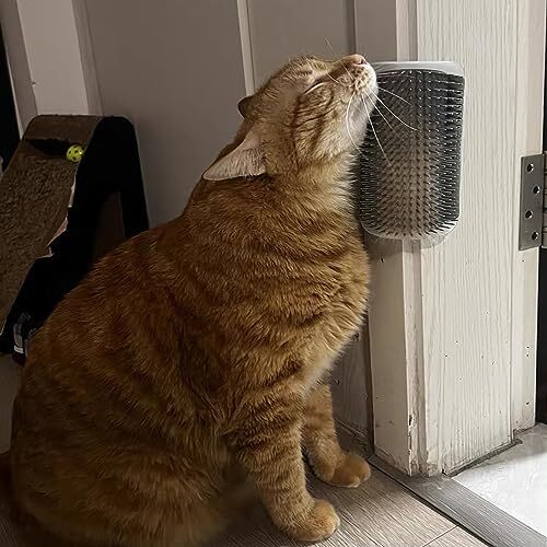Pettine Massaggio Gatto Autogroelegante Parete Angolo Laterale per Gatto Gattino, Confezione da 2 - Foto 8 di 8