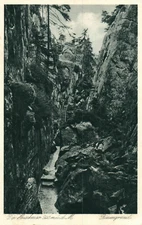 Postcard* the hay scrub 920m above sea level - Giant Ground (AB)70011