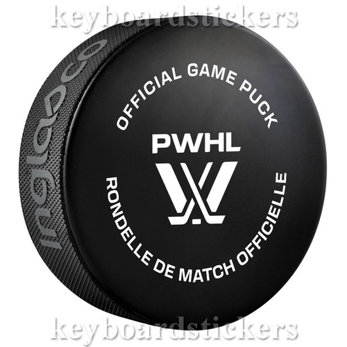 PWHL 2024-2025 Temporada Oficial Juego 6 Hockey Puck Paquete con Cubo -NUEVO LOGO - Imagen 8 de 8