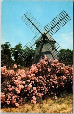 Eastham Oldest Windmill Cape Cod Postcard Mayflower Sales Co Unposted Vintage