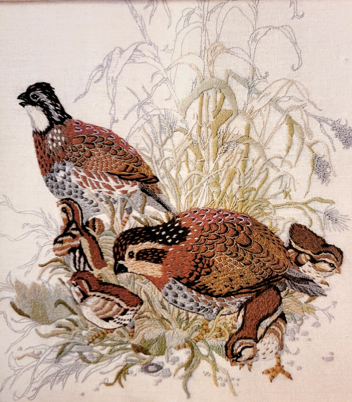 Bob White Quail 7856 complete crewel kit, started, Hallmark Design Collection