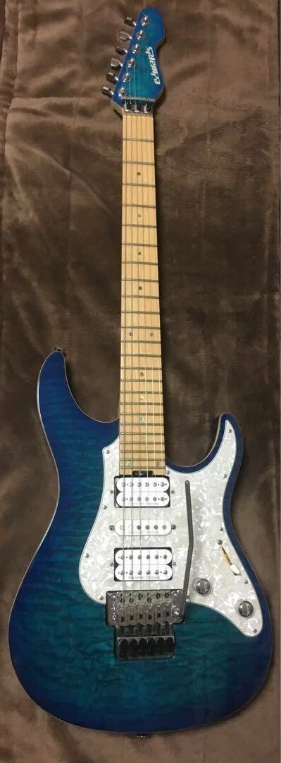Edwards E-SN-150FR Blue From Japan