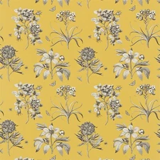 SANDERSON CURTAIN FABRIC DESIGN "Etchings & Roses" 3 METRES EMPIRE YELLOW
