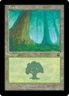 Forest 347 Mercadian Masques Light Play MTG Magic DNA GAMES