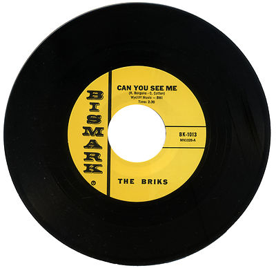 BRIKS  ''CAN YOU SEE ME c/w FOOLISH BABY'' 1966 GARAGE