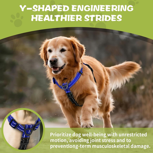 Dog Harness,Adjustable No Pull Harness,Y-Shaped S, Blue